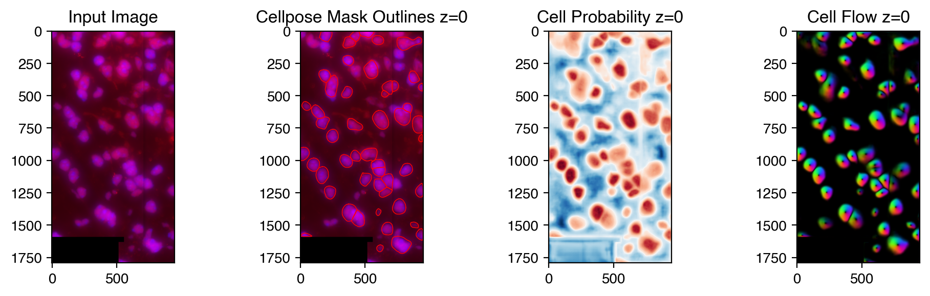 ../_images/04.cellpose_segmentation_7_0.png